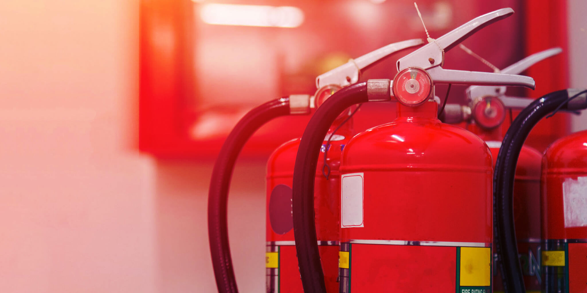 A prevenção é a melhor forma de combate.